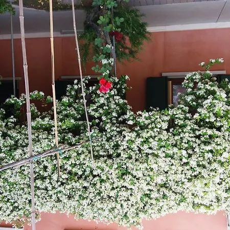 Dreon בית הארחה פורטוגרוארו