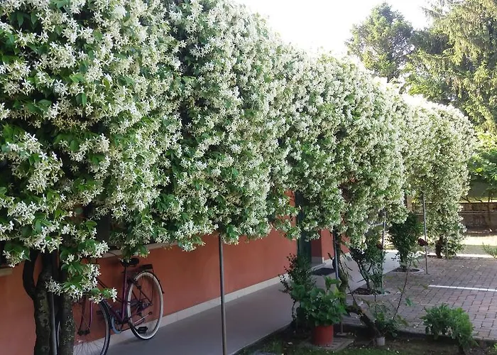 Pensión Dreon Portogruaro