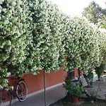 招待所 Dreon 波图格鲁洛