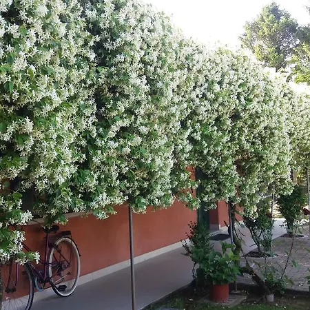 Pensionat Dreon Portogruaro