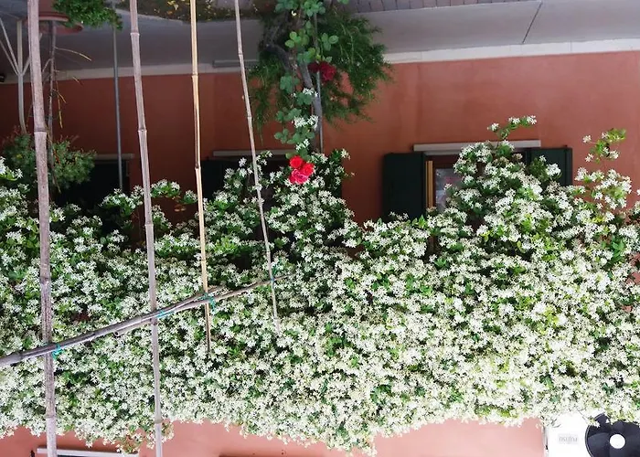 Dreon Vendégház Portogruaro